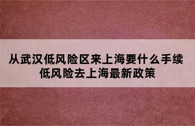 从武汉低风险区来上海要什么手续 低风险去上海最新政策